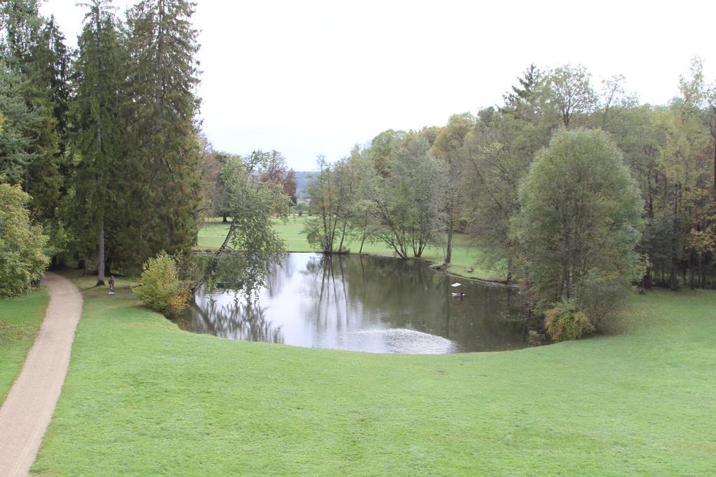 Chateau Du Breuil Bed & Breakfast Gevrolles Room photo